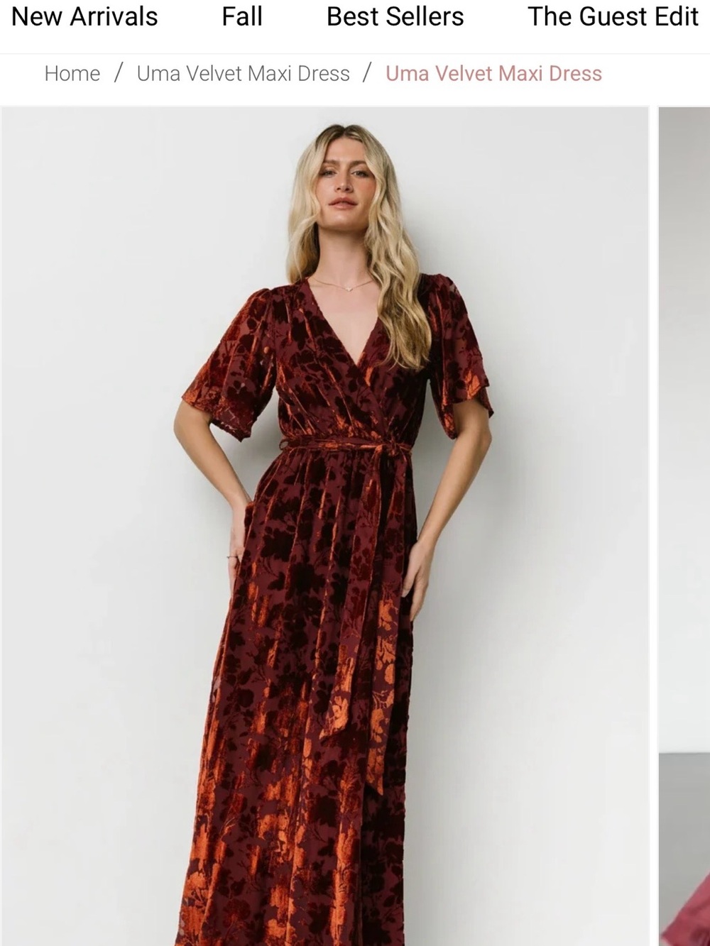 Velvet Maxi Dress - Burgundy Floral
